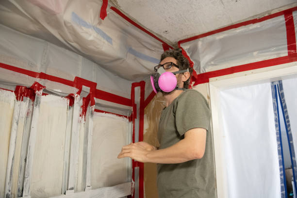 Best Biohazard Mold Removal  in Louisville, GA